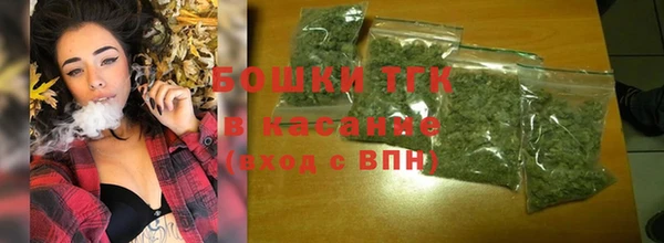 шишки Новодвинск