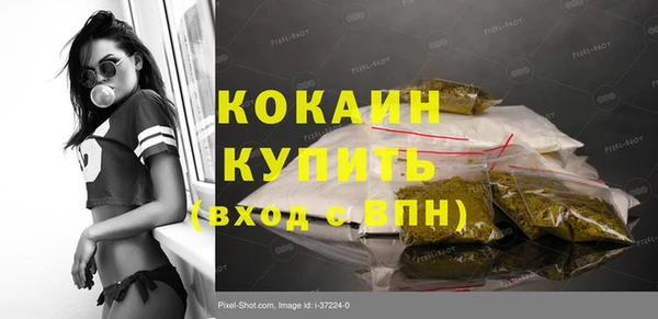 тгк Абаза