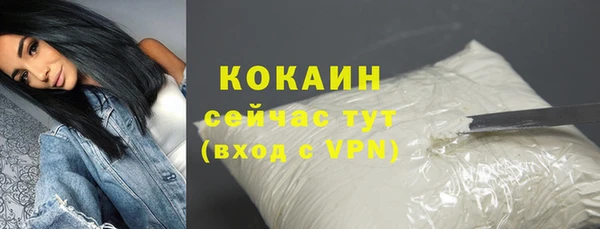индика Новокубанск