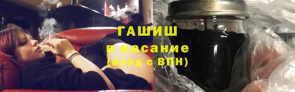 шишки Новодвинск