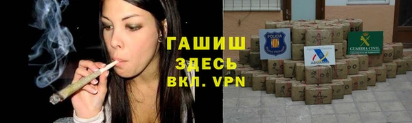 индика Новокубанск