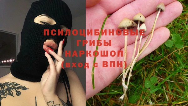 тгк Абаза