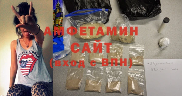 шишки Новодвинск