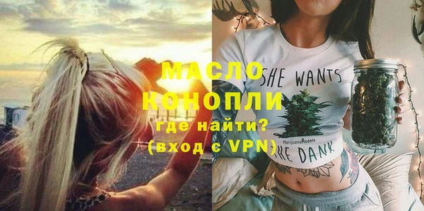 индика Новокубанск