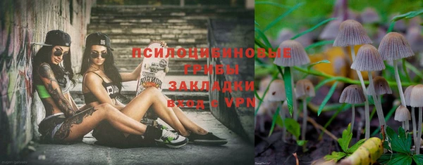 шишки Новодвинск