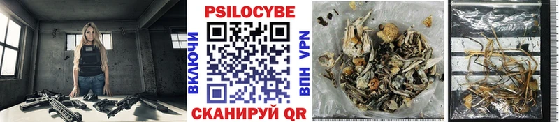где купить   Никольское  Галлюциногенные грибы Magic Shrooms 